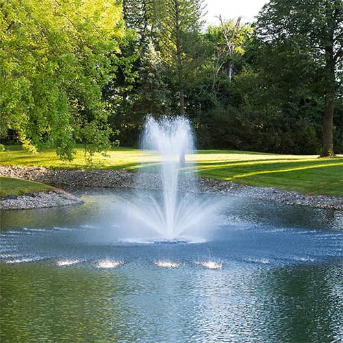 Crown & Trumpet Pattern