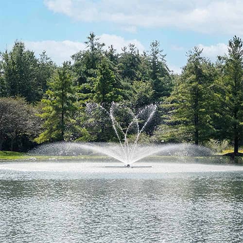 Spinning Blossom Pattern