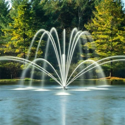 Double Arch Spray Pattern