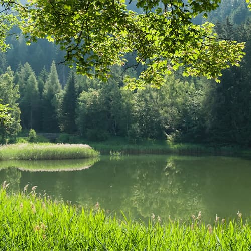 Irrigation Pump Systems - Lake Management Dallas Fort Worth