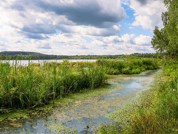 The Lake Doctor Floating Fountains Dallas Fort Worth The Lake Doctor Floating Fountains Dallas Fort Worth