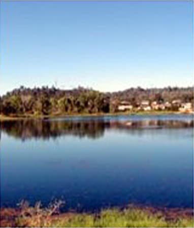 The Lake Doctor Floating Fountains Dallas Fort Worth The Lake Doctor Floating Fountains Dallas Fort Worth
