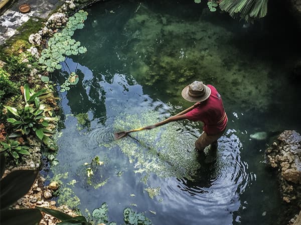 The Lake Doctor Floating Fountains Dallas Fort Worth The Lake Doctor Floating Fountains Dallas Fort Worth