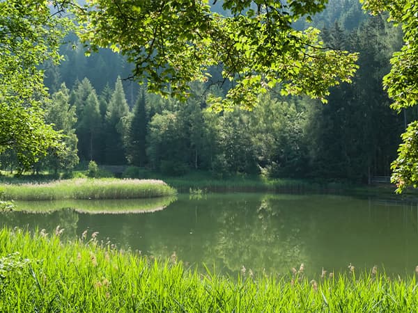The Lake Doctor Floating Fountains Dallas Fort Worth The Lake Doctor Floating Fountains Dallas Fort Worth