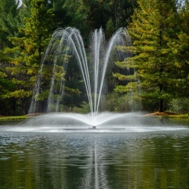 Airmax LakeSeries - Blossom Spray Pattern