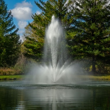 Airmax LakeSeries - Crown and Trumpet Pattern