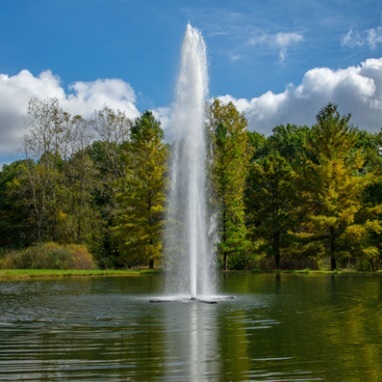 Airmax LakeSeries - Gusher Pattern