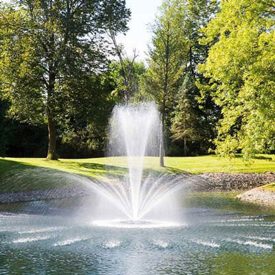 Airmax PondSeries - Crown & Trumpet Pattern