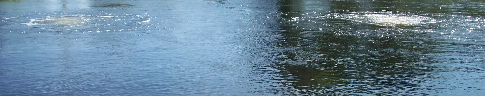 Keaton Industries Aeration Systems
Quiet Line Series Lake Management Floating Fountains Aeration Irrigation Pump Systems Aeration System Frisco Texas