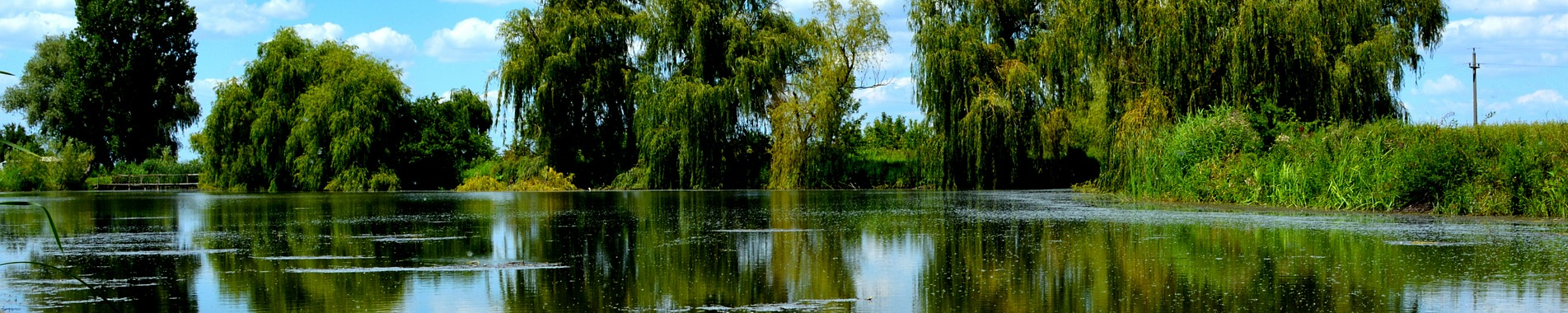 Lake Management Floating Fountains Aeration Irrigation Pump Systems Dallas Fort Worth Texas Vegetation Control Prosper Texas