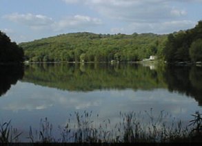Lake Management Services Prosper Texas Lake Management Services Prosper Texas Lake Management Floating Fountains Aeration Irrigation Pump Systems Dallas Fort Worth Texas
