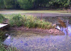 Lake Management Services Prosper Texas Lake Management Floating Fountains Aeration Irrigation Pump Systems Dallas Fort Worth Texas