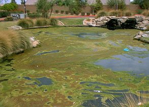 Lake Management Services Prosper Texas Lake Management Floating Fountains Aeration Irrigation Pump Systems Dallas Fort Worth Texas