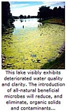 Vegetation Control - Lake Management Floating Fountains Aeration Irrigation Pump Systems Dallas Fort Worth Texas