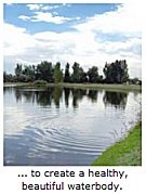 Vegetation Control - Lake Management Floating Fountains Aeration Irrigation Pump Systems Dallas Fort Worth Texas