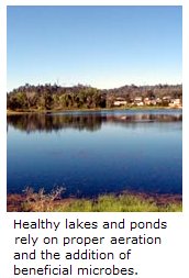 Waste and Sludge Reducer - Lake Management Floating Fountains Aeration Irrigation Pump Systems Dallas Fort Worth Texas