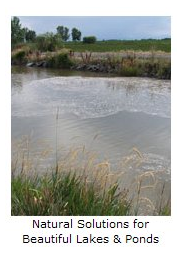 Lake Management Floating Fountains Aeration Irrigation Pump Systems Dallas Fort Worth Texas Aeration Systems in Frisco