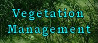 The Lake Doctor - Lake Management Services - Vegetation Control Management Pond Lake Vegetation Fish Fish Feeders